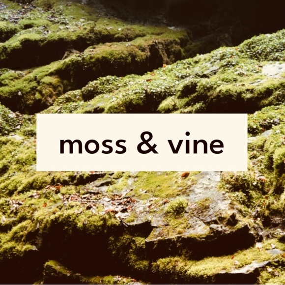 Smoke Free, Dog Friendly Closet - Picture 1 of 7